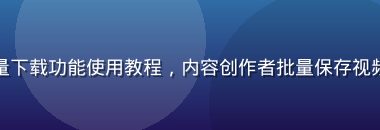 爱液视频下载批量下载功能使用教程，内容创作者批量保存视频素材的高效方法
